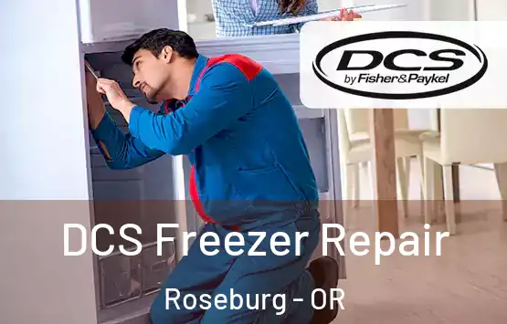  DCS Freezer Repair Roseburg - OR