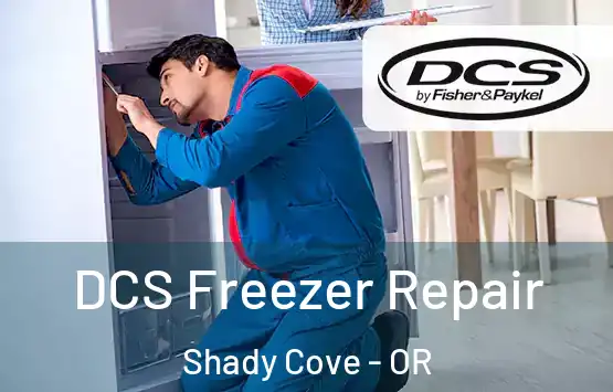  DCS Freezer Repair Shady Cove - OR