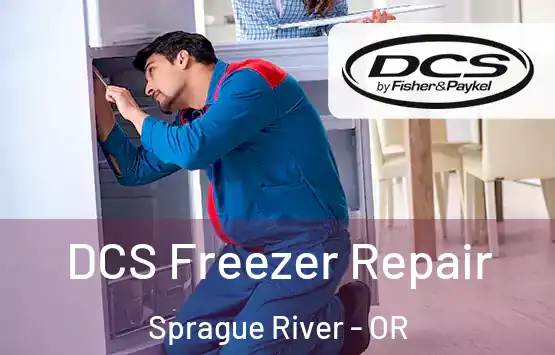  DCS Freezer Repair Sprague River - OR