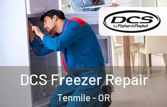  DCS Freezer Repair Tenmile - OR