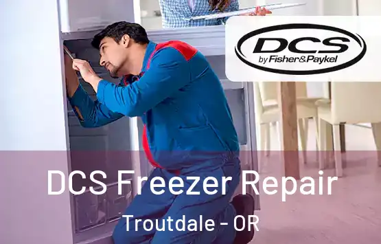  DCS Freezer Repair Troutdale - OR