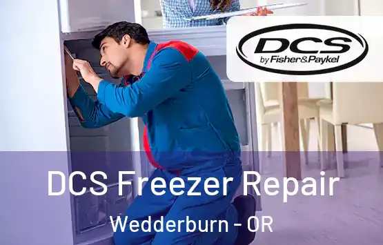 DCS Freezer Repair Wedderburn - OR