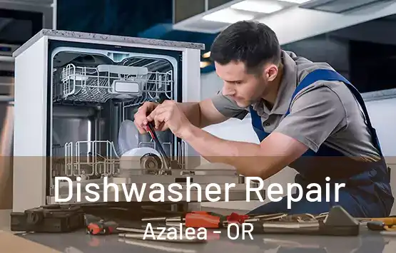  Dishwasher Repair Azalea - OR