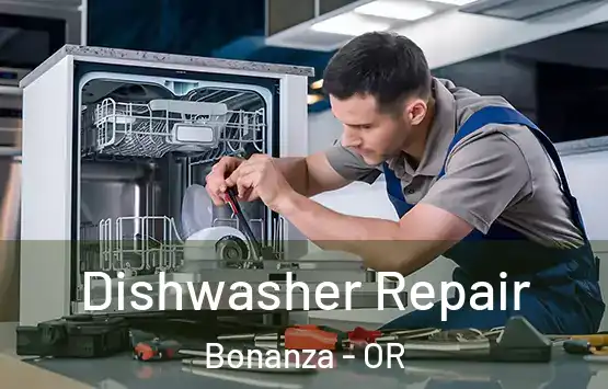  Dishwasher Repair Bonanza - OR