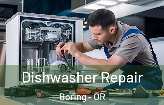  Dishwasher Repair Boring - OR