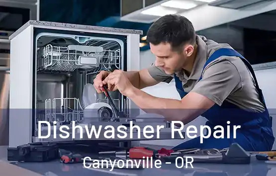  Dishwasher Repair Canyonville - OR