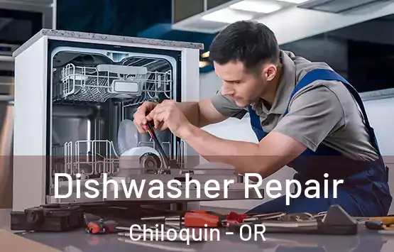  Dishwasher Repair Chiloquin - OR