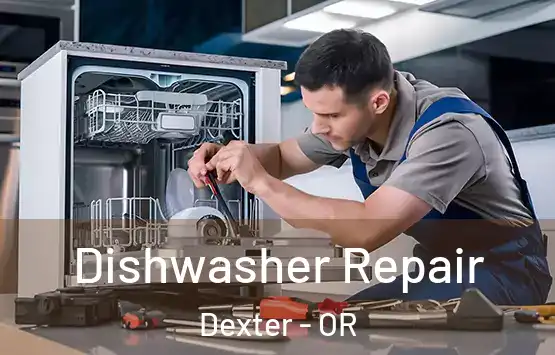  Dishwasher Repair Dexter - OR