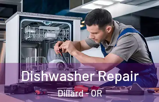  Dishwasher Repair Dillard - OR