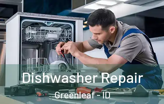  Dishwasher Repair Greenleaf - ID