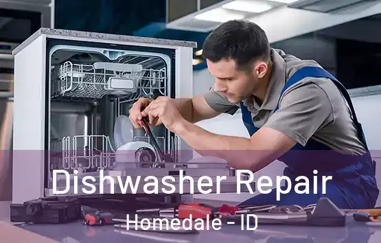  Dishwasher Repair Homedale - ID