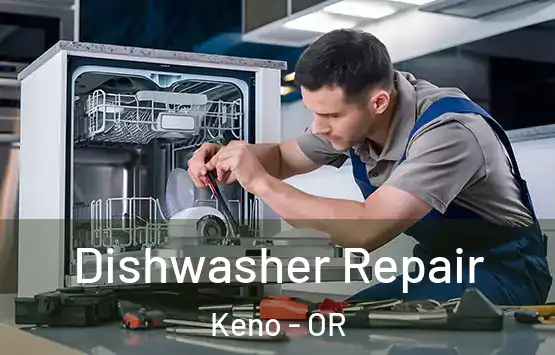  Dishwasher Repair Keno - OR