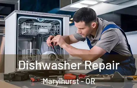  Dishwasher Repair Marylhurst - OR