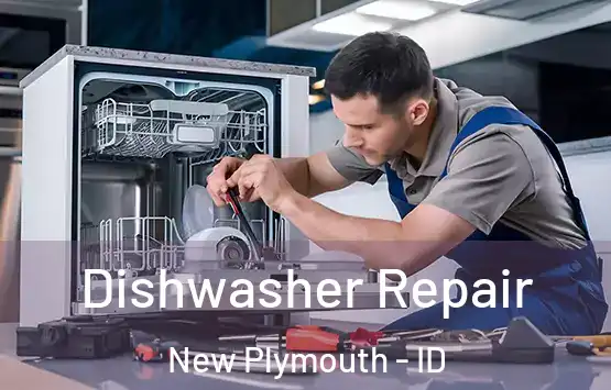  Dishwasher Repair New Plymouth - ID