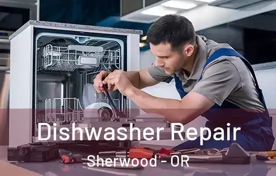  Dishwasher Repair Sherwood - OR