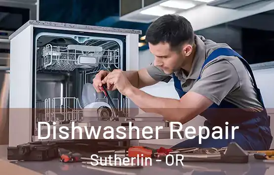  Dishwasher Repair Sutherlin - OR