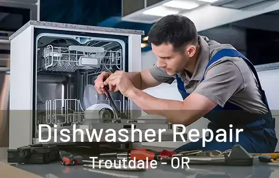  Dishwasher Repair Troutdale - OR