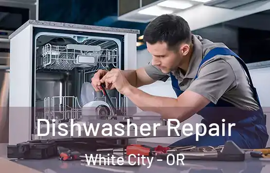  Dishwasher Repair White City - OR