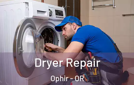  Dryer Repair Ophir - OR