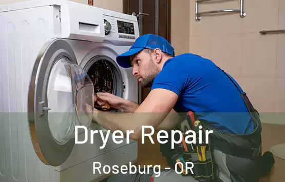  Dryer Repair Roseburg - OR