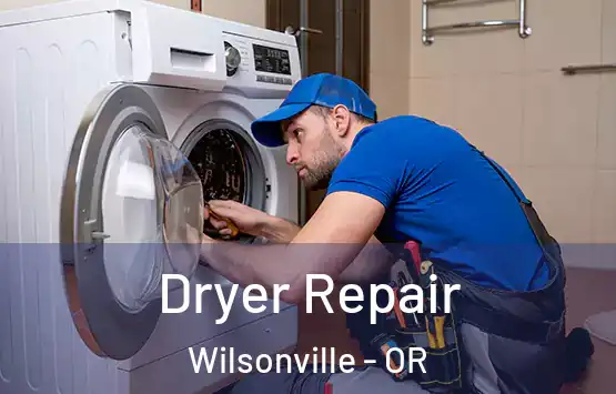  Dryer Repair Wilsonville - OR