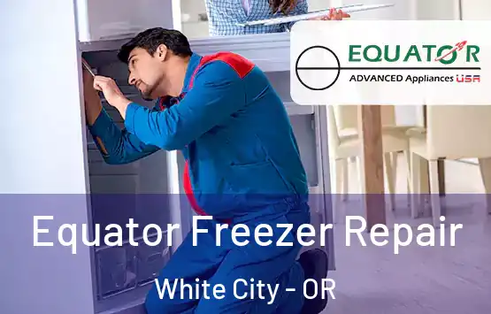  Equator Freezer Repair White City - OR