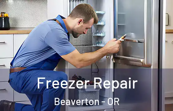  Freezer Repair Beaverton - OR