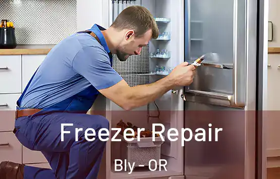  Freezer Repair Bly - OR