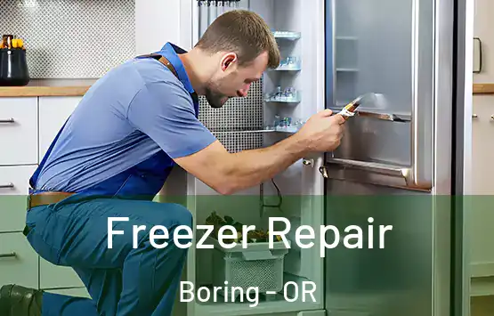  Freezer Repair Boring - OR