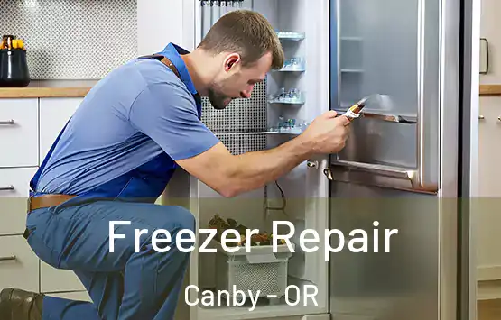  Freezer Repair Canby - OR