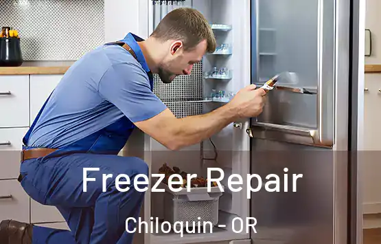  Freezer Repair Chiloquin - OR
