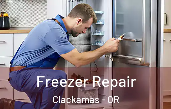  Freezer Repair Clackamas - OR