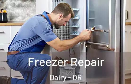  Freezer Repair Dairy - OR
