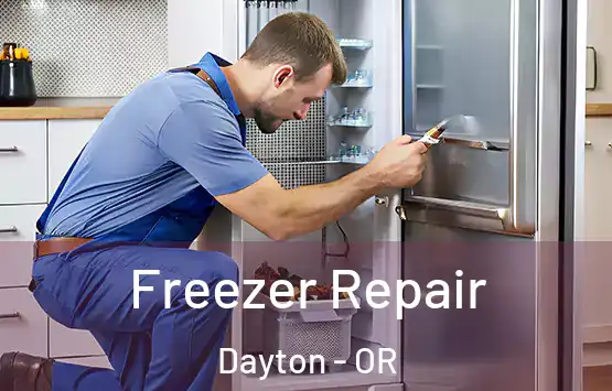  Freezer Repair Dayton - OR