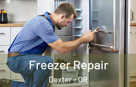  Freezer Repair Dexter - OR