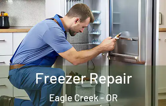  Freezer Repair Eagle Creek - OR