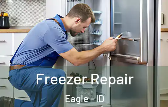  Freezer Repair Eagle - ID