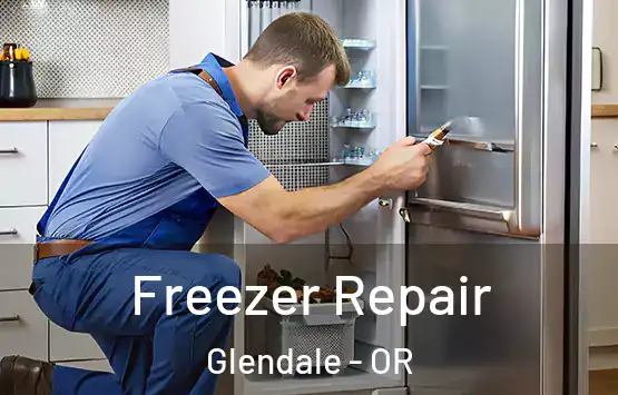  Freezer Repair Glendale - OR