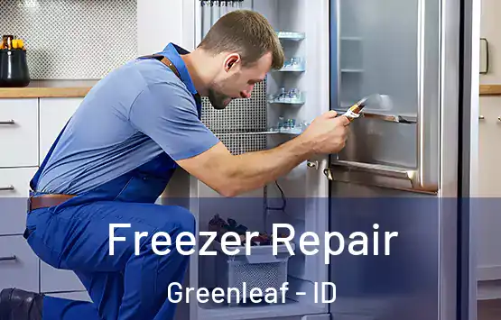  Freezer Repair Greenleaf - ID