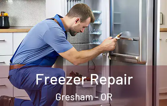  Freezer Repair Gresham - OR