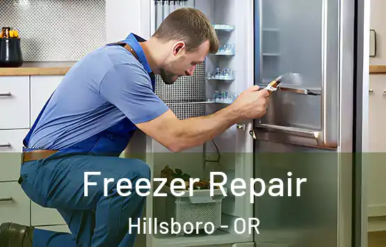  Freezer Repair Hillsboro - OR