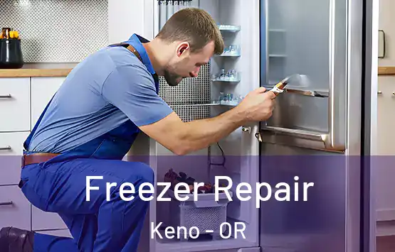  Freezer Repair Keno - OR
