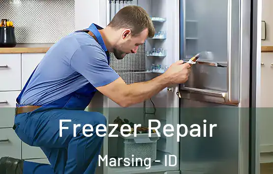  Freezer Repair Marsing - ID