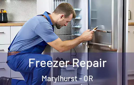  Freezer Repair Marylhurst - OR