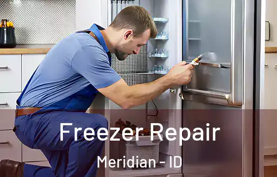  Freezer Repair Meridian - ID