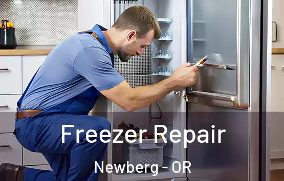  Freezer Repair Newberg - OR