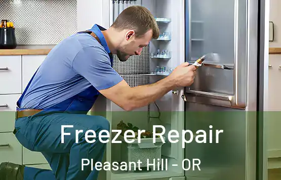  Freezer Repair Pleasant Hill - OR
