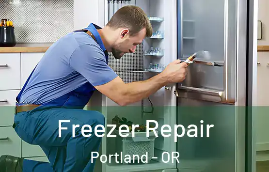  Freezer Repair Portland - OR