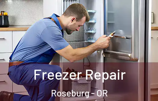  Freezer Repair Roseburg - OR