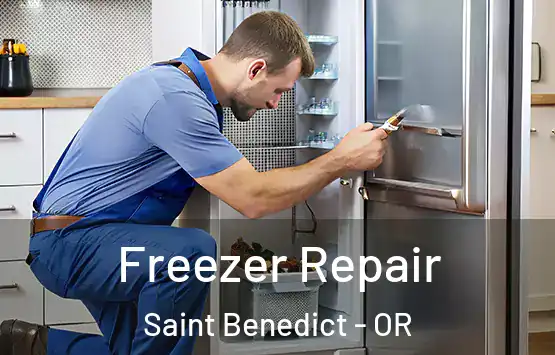  Freezer Repair Saint Benedict - OR